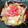 ジンパ's cooksnap of when they made 豚とごぼうの柳川丼.