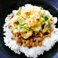 よよっち♪'s cooksnap of when they made ピリッとさっぱり納豆きゅうりご飯.