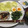 ayakapo's cooksnap of when they made ほうれん草の白だし胡麻和え.