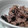 yukina007's cooksnap of when they made ☆戻しなし黒豆炊き込みごはん☆.