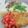 クック05LL56☆'s cooksnap of when they made ミラノ風カツレツ、トマトソースのせ.