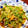ma2kaboch's cooksnap of when they made 絹さやと玉ねぎの卵とじ.
