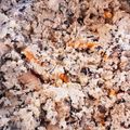 りんごのあめちゃん's cooksnap of when they made 市販のめんつゆで作る♪簡単おから煮～♪.
