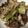 anemonenan's cooksnap of when they made 牛肉と舞茸のポン酢炒め.