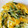 さちぶた♪'s cooksnap of when they made 簡単！水菜と卵のさっぱり炒め.