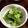 ゆみのしん's cooksnap of when they made チンゲン菜のごま油和え.