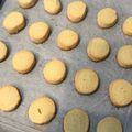 クックXNFBQS☆'s cooksnap of when they made 楽チン アイスボックスクッキー.
