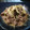 wakamegu's cooksnap of when they made みょうが牛肉の味噌炒め.