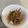 クックV9YW09☆'s cooksnap of when they made ナムル♡.
