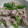 nanahouse1's cooksnap of when they made 簡単！豚肉とピーマンの甘味噌炒め.