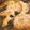 かつぞう☆'s cooksnap of when they made 和風だし香る白だし餃子鍋.
