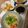Sacccchin☆'s cooksnap of when they made 鯖缶ガーリックバターパスタ.