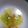 なっちゃん３１１'s cooksnap of when they made レタスの簡単洋風スープ.