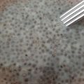 カクヨ's cooksnap of when they made 甘酒チアシード.