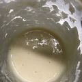 ノッケオ's cooksnap of when they made ホシノ天然酵母液ダネの起こし方.