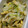 tamago大好き's cooksnap of when they made 新玉ねぎと豆苗の卵炒め.