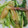 stella622's cooksnap of when they made かぶの茎と葉とみょうがの副菜.
