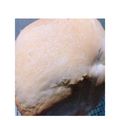 ノッケオ's cooksnap of when they made HB☆ホシノ天然酵母でミルクパン.