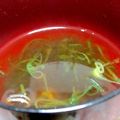 サクラとポテト's cooksnap of when they made ❤海苔の佃煮で簡単即席スープ❤.