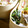 ガメコ's cooksnap of when they made ほうれん草☆塩昆布とポン酢の和え物.
