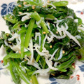 ミキトゥ's cooksnap of when they made 超簡単☆ほうれん草とシラスの和え物.