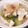 komugiko4's cooksnap of when they made おつまみ☆アボカド&カッテージチーズ.