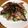 ナップ99's cooksnap of when they made さんまの蒲焼き缶詰め寿司.