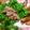 ソラねこ22's cooksnap of when they made 納豆ツナのサンチュ巻.