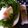 imajiro's cooksnap of when they made 自家製味付けガーリック塩胡椒.