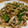 ほんべちゃん's cooksnap of when they made 絶品！020：本格中華的青椒肉絲.