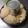 クックTXJ54L☆'s cooksnap of when they made 生食パン(スーパーキング).