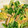 jinjin3218's cooksnap of when they made べんり菜の卵とじ.
