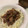 papikun's cooksnap of when they made 給料日前お助け簡単料理！しょうが焼き丼.