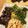 yossiey's cooksnap of when they made サクッ！トロッ！ワラビの天ぷら.