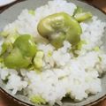 ピニヨ's cooksnap of when they made 初夏の味　空豆ご飯.