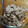 美緒玲＠女子力アップ's cooksnap of when they made 初心者さんでも簡単☆あずきアイスクリーム.