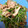 ツバミックス's cooksnap of when they made 豆苗としめじと豚バラの炒めもの.