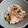 しらたまこむぎ's cooksnap of when they made 鶏のあっさり焼き♪.