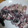 mmiwa's cooksnap of when they made アカイカのまるゆで.
