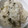 snow012's cooksnap of when they made ★さやえんどうの豆★かんたん炊き込みご飯.