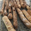 mishokoo's cooksnap of when they made 胡桃チョコのステックパン＊自家製酵母.