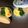 0824nana02's cooksnap of when they made 鶏そぼろ丼.