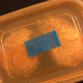 猫リン's cooksnap of when they made おつまみ☆味噌漬けクリームチーズ☆.