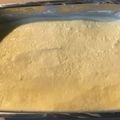 Yokchina's cooksnap of when they made 濃厚☆レディボーデン風*バニラアイス.