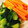 KAORULALA's cooksnap of when they made 白だしで✿野菜のわさび漬け.