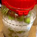 ★NATU＆SOU★'s cooksnap of when they made 梅シロップ (^^) 梅ジュース.