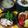 Cookingmam's cooksnap of when they made みずっぽくないごぼうサラダ.