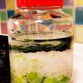 中島マリオ's cooksnap of when they made 確実・丁寧な梅酒の作り方。.