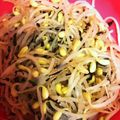 みりん調味料's cooksnap of when they made 海苔まみれのもやしナムル.