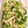 好きです。餃子。's cooksnap of when they made ささみときゅうりの簡単中華和え.